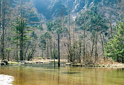 大正池から穂高を望む